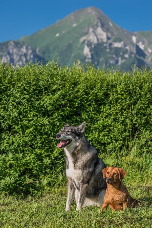Penzion Safran Ždiar Exteriér fotografie