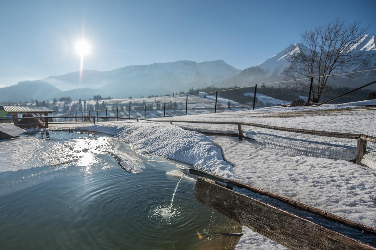 Penzion Safran Ždiar Exteriér fotografie